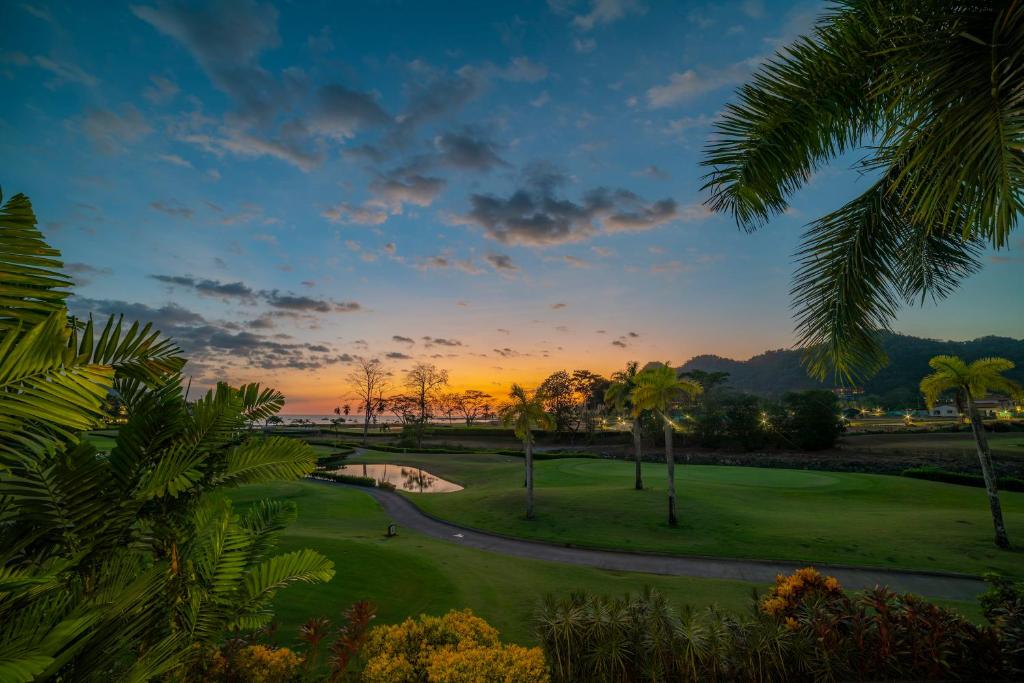 赫拉多拉Ocean View Del Mar 1G by Stay in CR的棕榈树高尔夫球场的日落