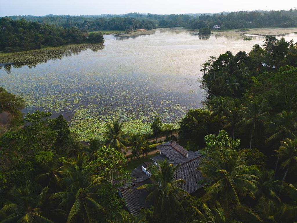 韦利格默Villa Lake Mountain的棕榈树河流的空中景观