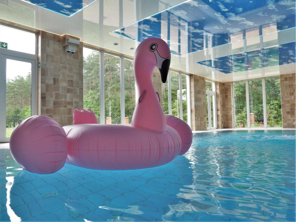 RosnowoOśrodek nad jeziorem - Radew Rosnowo的游泳池里的粉红色充气粉天鹅