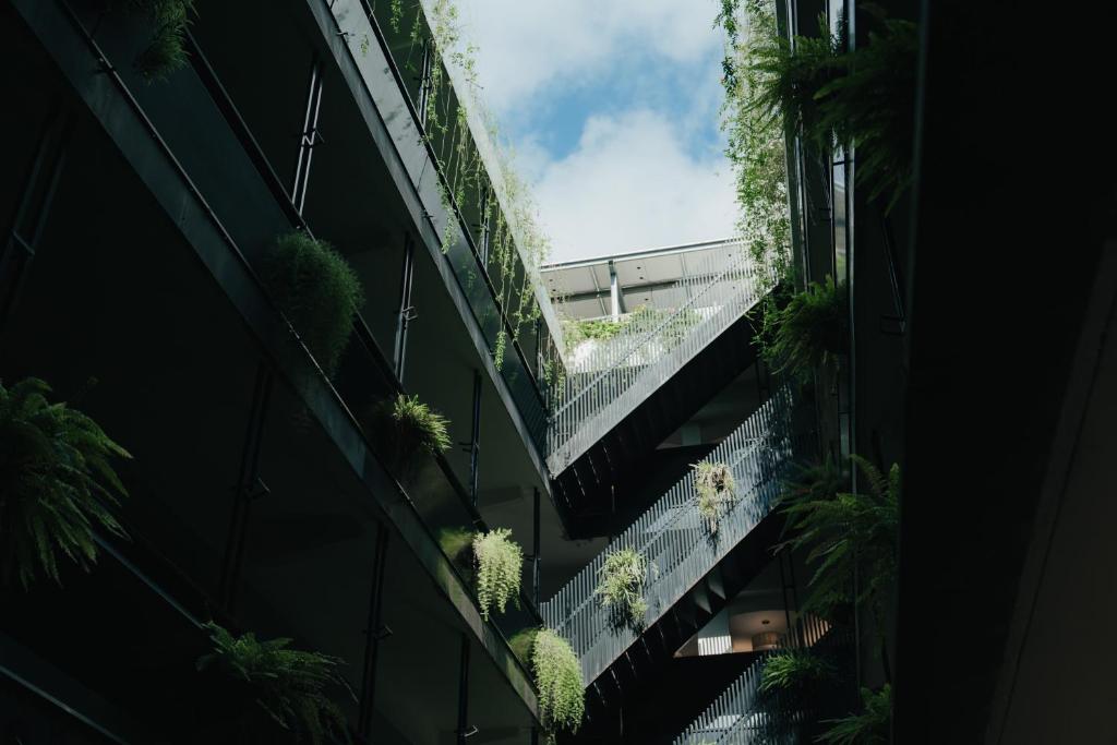 台东Norden Ruder Hostel Taitung的植物建筑的头顶景观