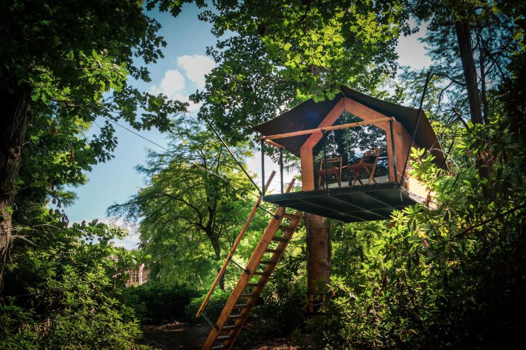 奥斯特坎普Boomkamp treehouses的树屋,有梯子和伞