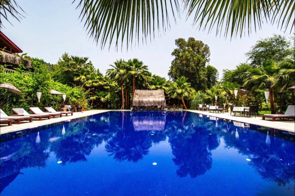 戈西克Layla Gocek Adults only的拥有蓝水和棕榈树的度假村的游泳池