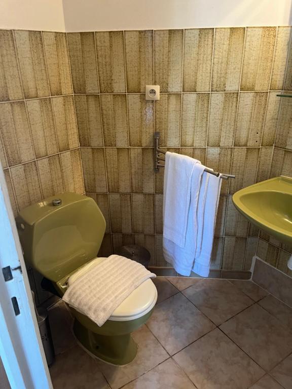 森图里L’Auberge du pêcheur的浴室配有绿色卫生间和水槽。