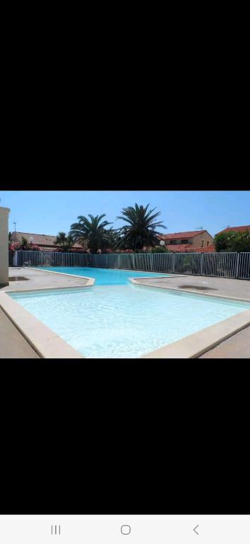 乐巴凯尔斯Villa 6p piscine spa privatif wifi proche des plages的一个巨大的蓝色游泳池，背景是棕榈树