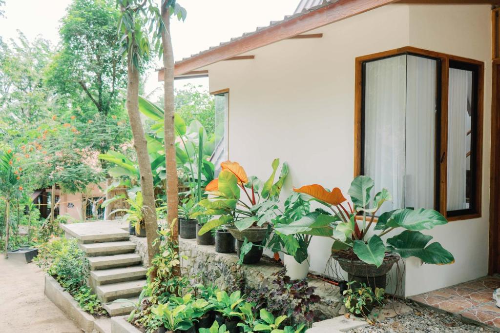 圣胡安Casa Maria at Bigang Munti的旁边是种植物的房子