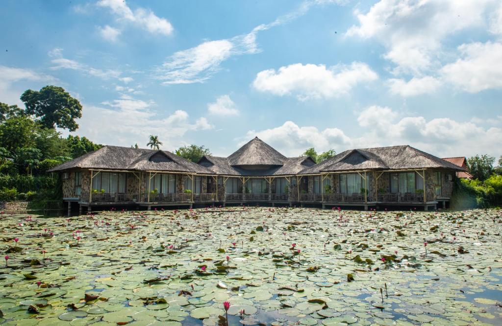 宁平Memorina Ninh Binh Resort的一群在池塘里装满百合垫的建筑物