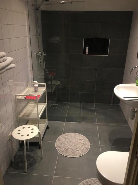 Punthorstvakantiewoning Bovenhaar的带淋浴、卫生间和盥洗盆的浴室
