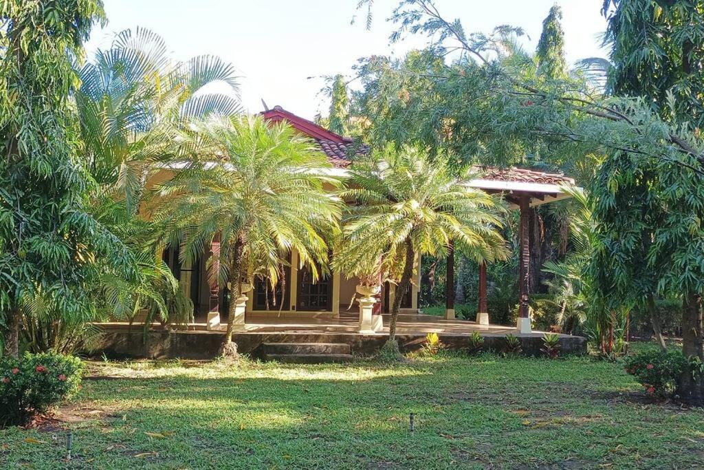 奇南德加Charming 3 bedroom house的前面有棕榈树的房子