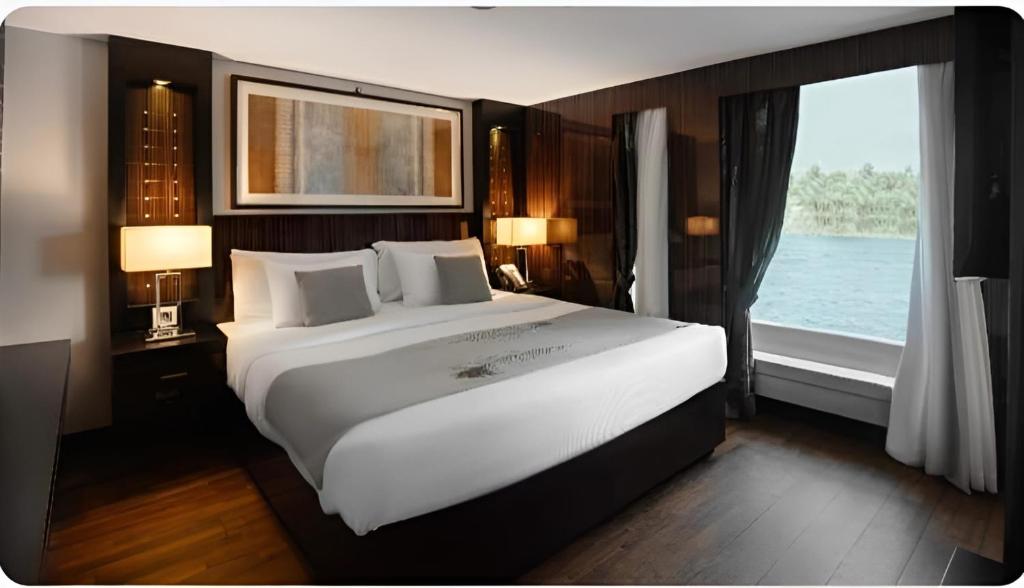 阿斯旺NILE CRUISE LUXOR & ASWAN L的卧室设有一张白色大床和一扇窗户。