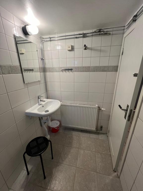 哈尔姆斯塔德Central university - centralt högskolan的一间带水槽、镜子和淋浴的浴室