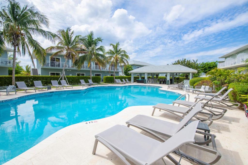 西湾Summertime Suites #50的一个带躺椅的游泳池,棕榈树