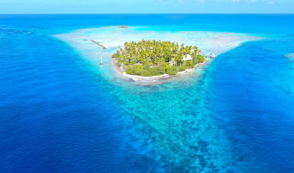 阿瓦托鲁Motu Fara Private Island的海洋中的一个岛屿