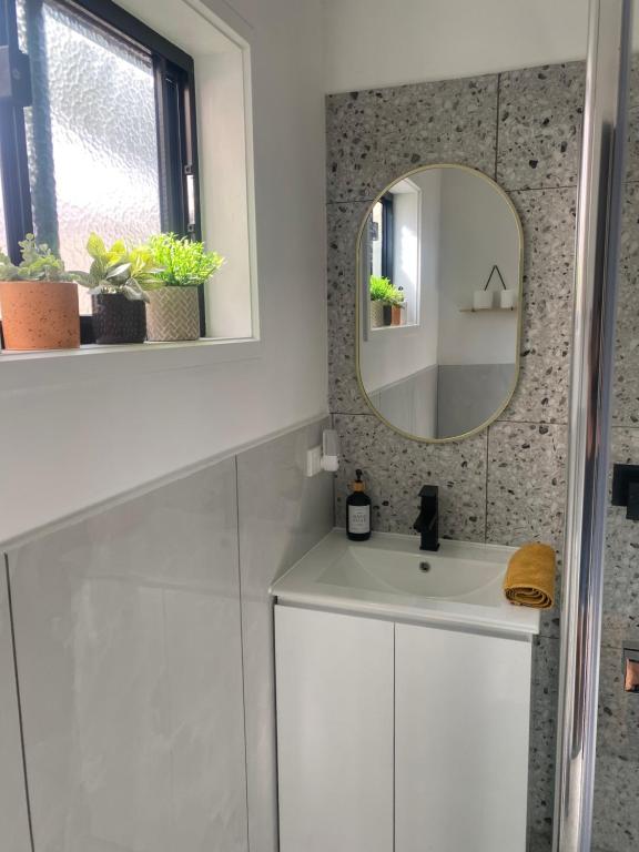 LyndhurstAnge's BnB - Self Contained Unit with Ensuite的浴室设有白色水槽和镜子