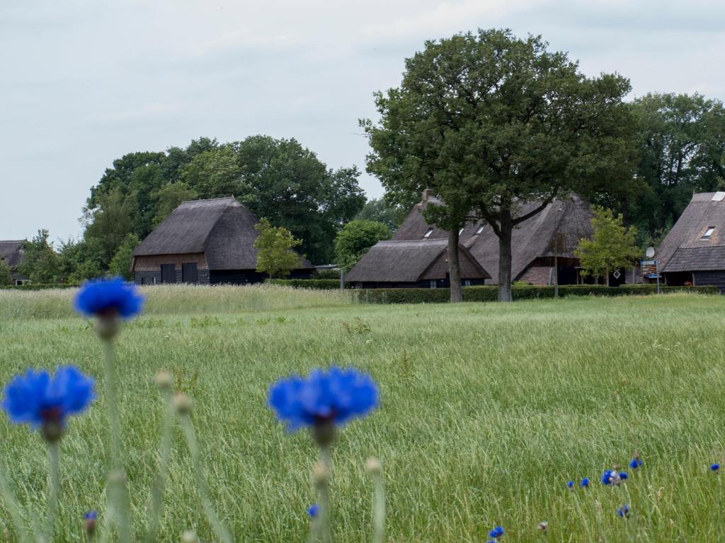 德文格洛Gastenverblijf Lheederhof的房屋前方有蓝色花的田野