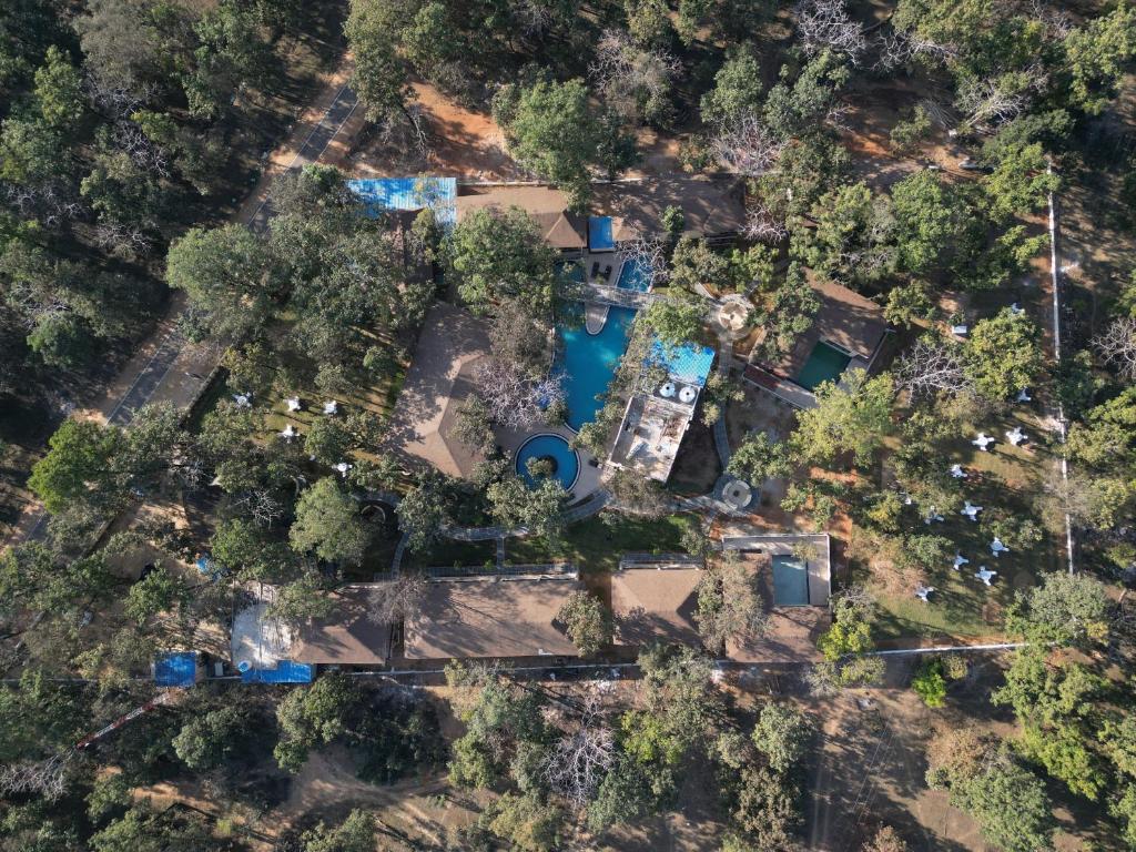 DhanwārCitrus Prime Kanha Resort and Villas的树林中房屋的空中景观