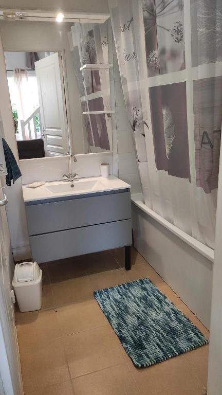 加拉尔盖莱蒙蒂厄Jasse 632的一间带水槽、镜子和卫生间的浴室
