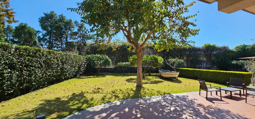 马斯卡利Etna, mare e verde (double room in villa)的庭院里设有两把椅子和一棵树