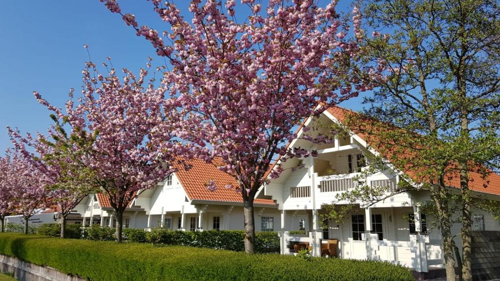 东卡佩勒Holiday Park Dennenbos的前面有树木的白色房子
