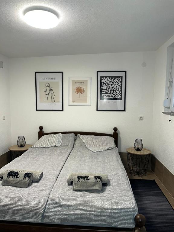库伦瓦库夫Apartman Azra的一间卧室配有一张带两个枕头的床