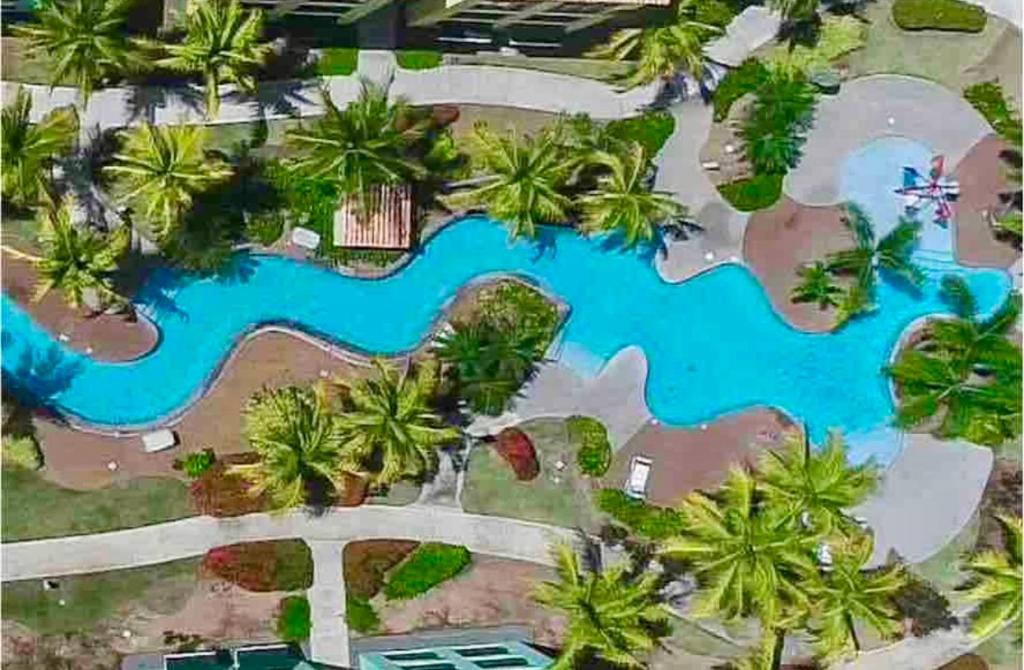LoizaAquatika Beach Resort & Waterpark的棕榈树度假村泳池的空中景致