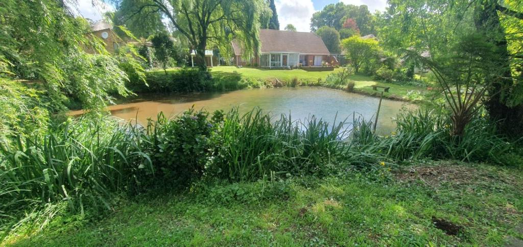 希尔顿Air Lakehouse的院子内房子前面的池塘