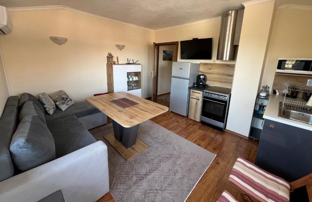 班斯科VV Apartment Bansko的带沙发和桌子的客厅以及厨房。