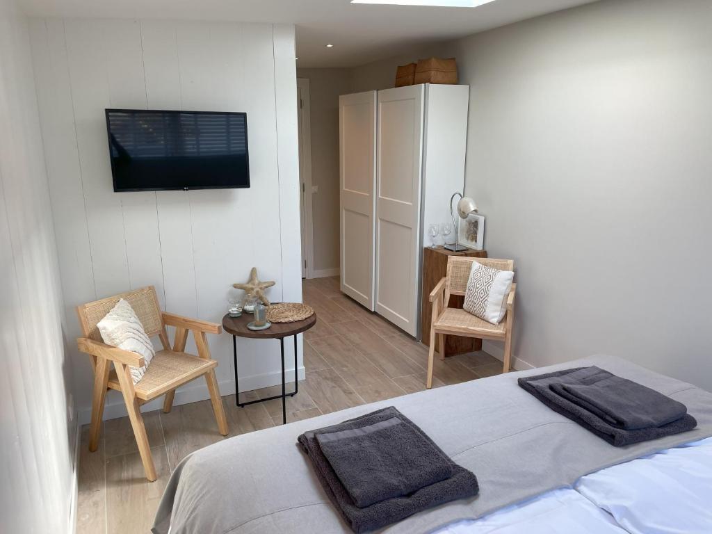 滨海贝亨Villa de Duinfazant的卧室配有一张床,墙上配有电视。