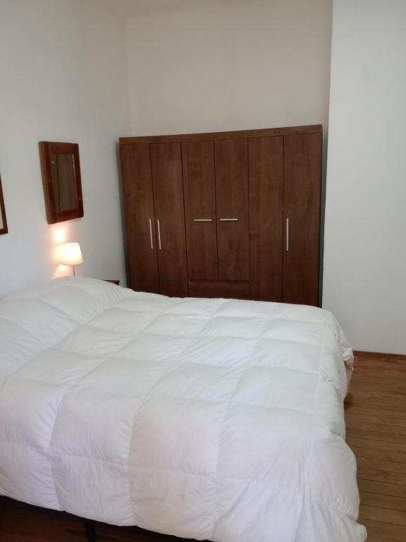 蒙得维的亚Sofia的卧室配有白色的床和木制橱柜。