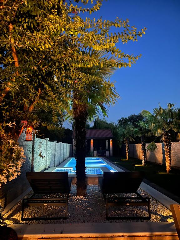 莫斯塔尔Villa Bura的一个带两个长椅和棕榈树的游泳池