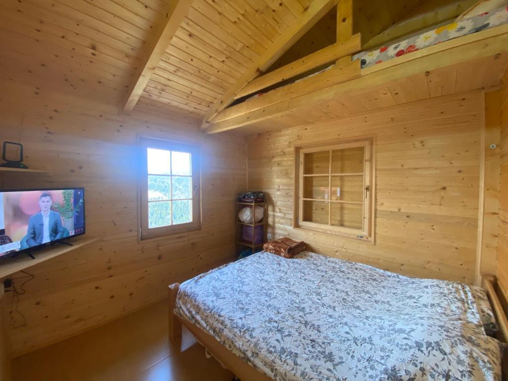 AndrijevicaBrvnara Gradišnjica的小木屋内一间卧室配有一张床和一台电视