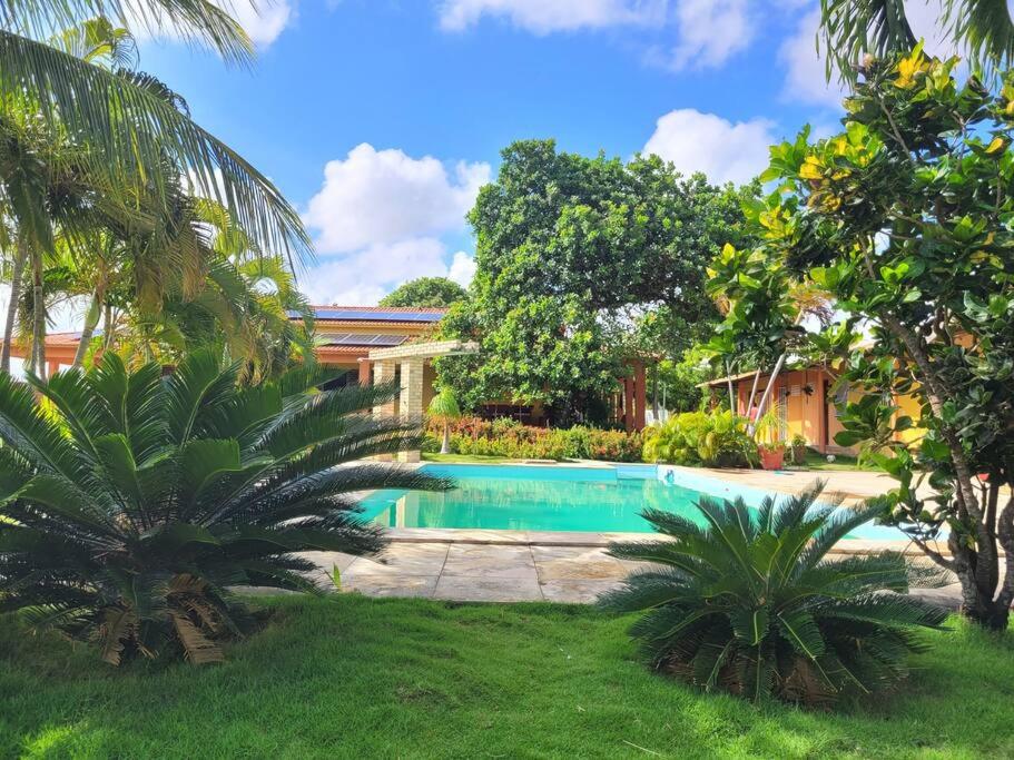 贝贝里比Sítio RoThaS的棕榈树庭院内的游泳池