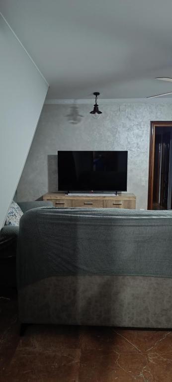 奇皮奥纳EDIFICIO DUPLEX的带沙发和平面电视的客厅