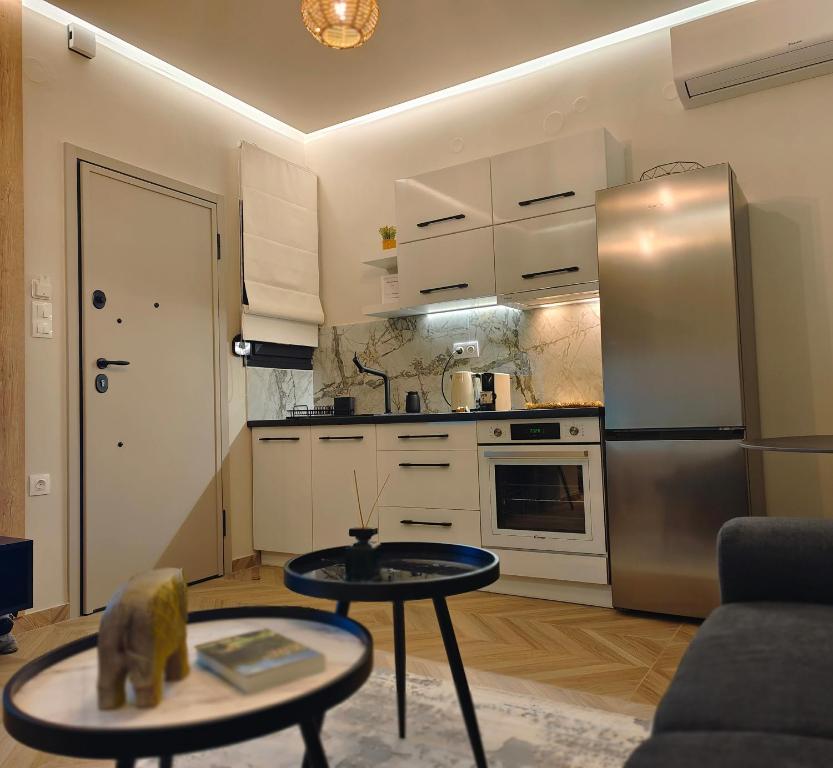 沃洛斯Volos Guesthouse Konstantina的厨房配有不锈钢冰箱和桌子