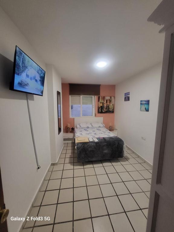 格拉纳达Habitacion muy céntrica.的一间卧室配有一张床和一台平面电视