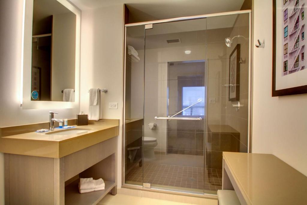 埃文斯顿芝加哥/埃文斯顿凯悦酒店的带淋浴、盥洗盆和卫生间的浴室