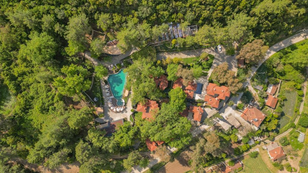 马尔马里斯Nuup Hotel的享有带游泳池和树木的度假屋的顶部景致