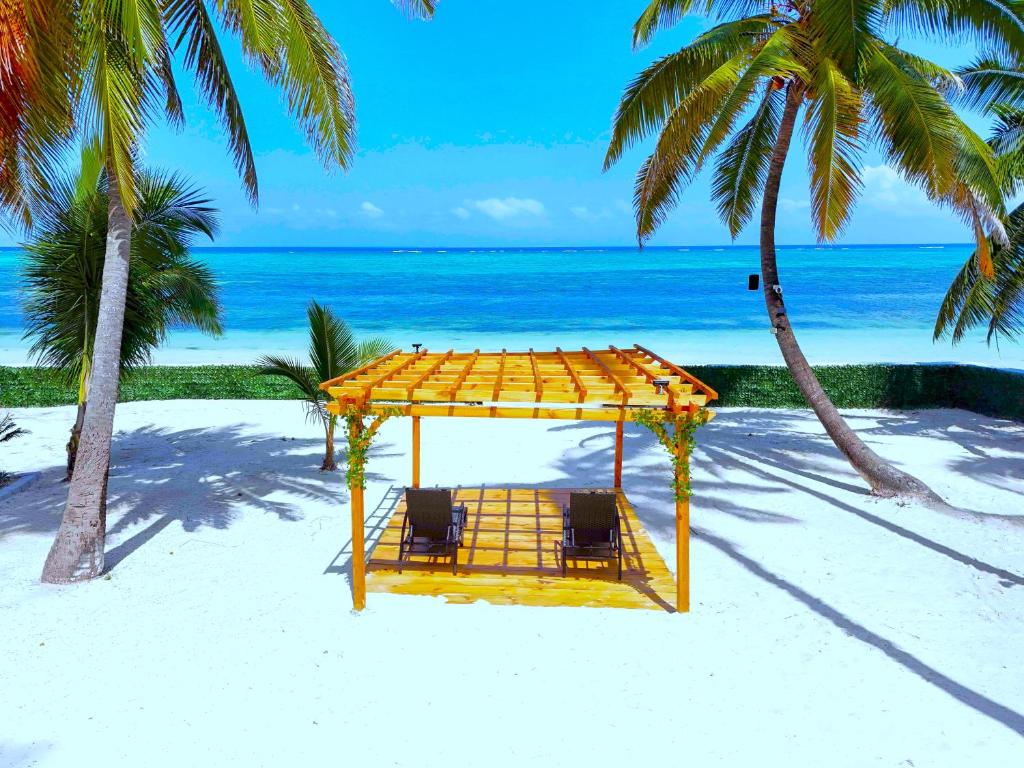 平圭The Zanzibar Beach House-South的棕榈树海滩上的黄色长椅
