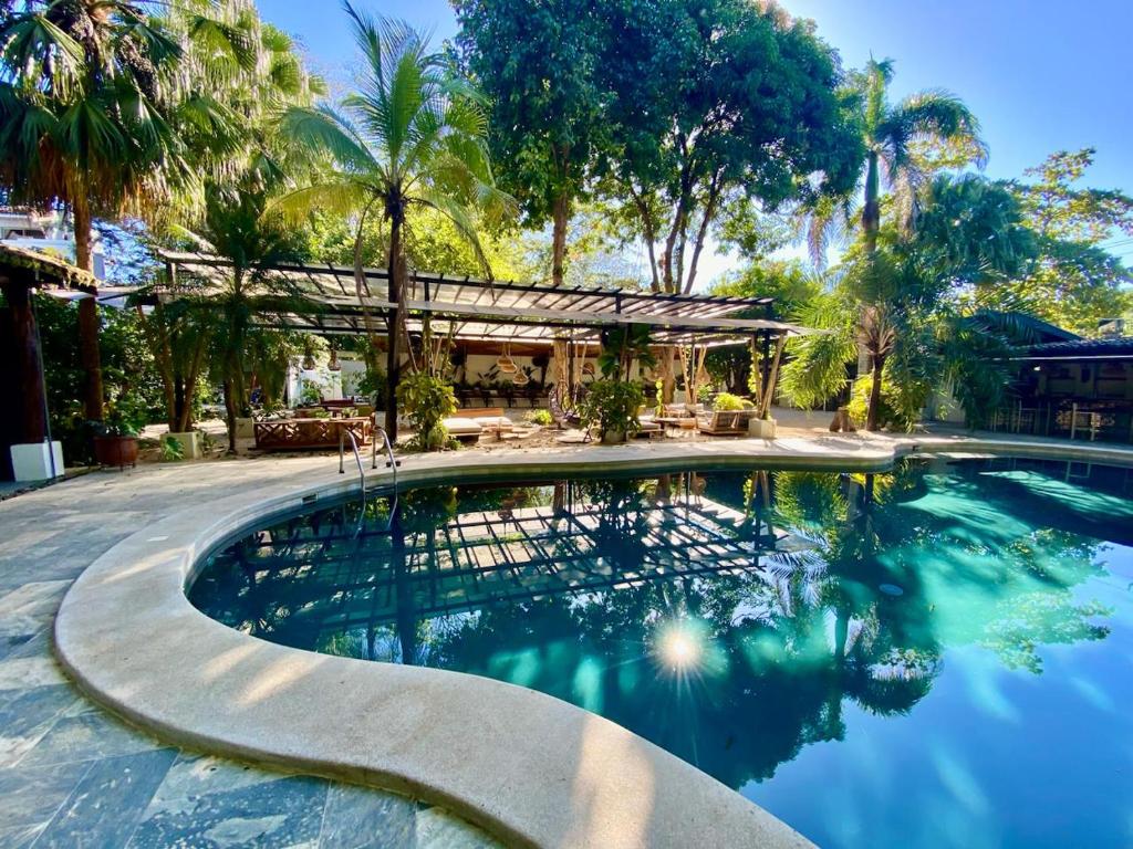 波特雷罗Curiol Boutique Hotel & Lounge的一座拥有房屋和棕榈树的游泳池