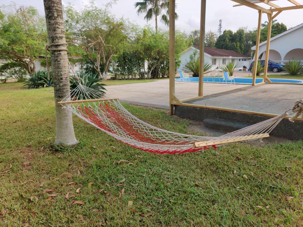 塔科拉迪Beach Road Oasis的院子里的吊床,被棕榈树绑在一根吊床上