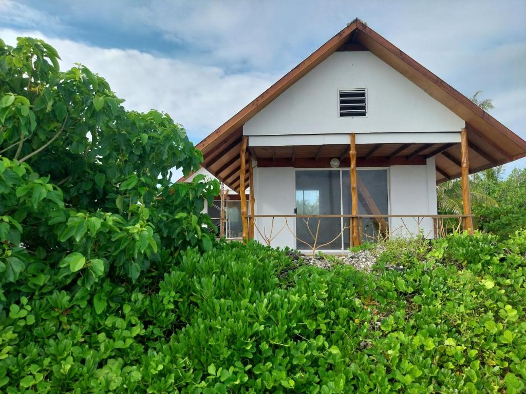 TiputaVaimoe Lodge的茅草屋顶的小房子