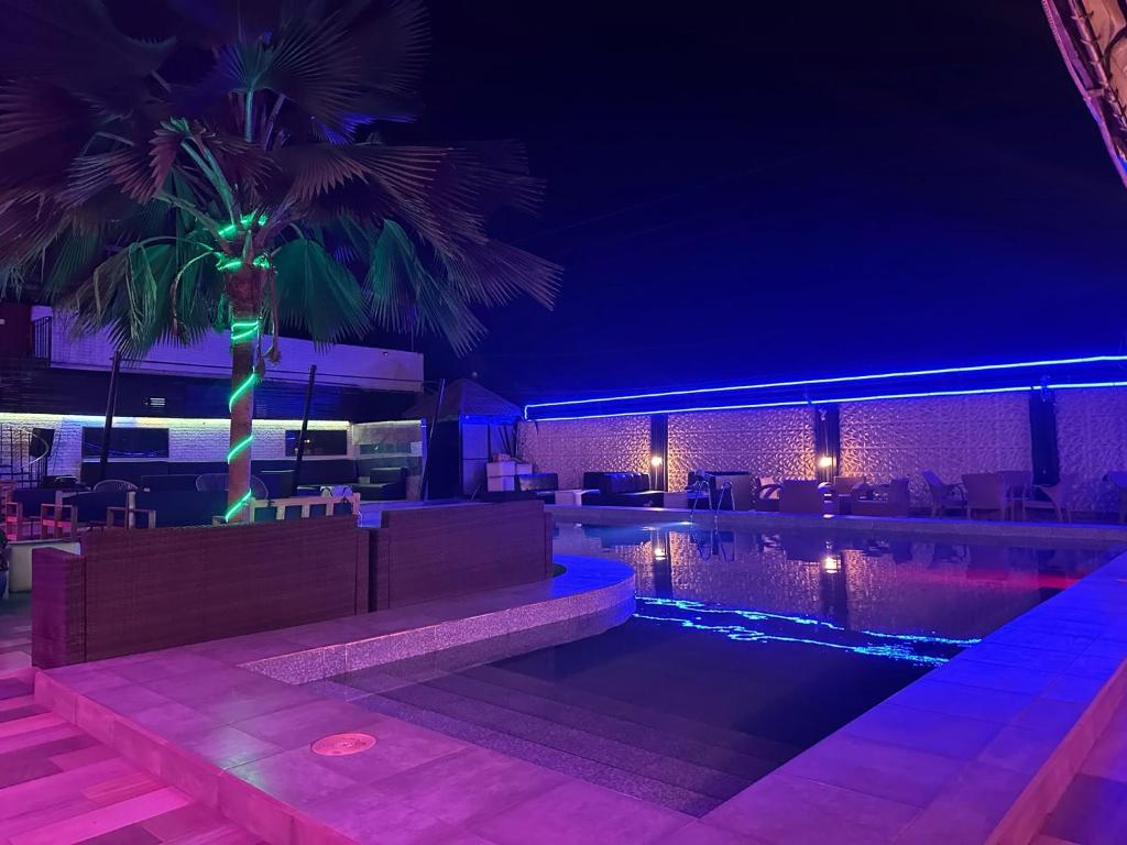 科洛里Apartments Plaza Hotel的游泳池旁的棕榈树