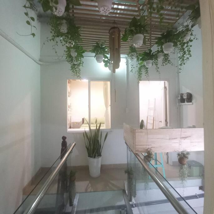 胡志明市Garden House的一间玻璃地板和盆栽客房