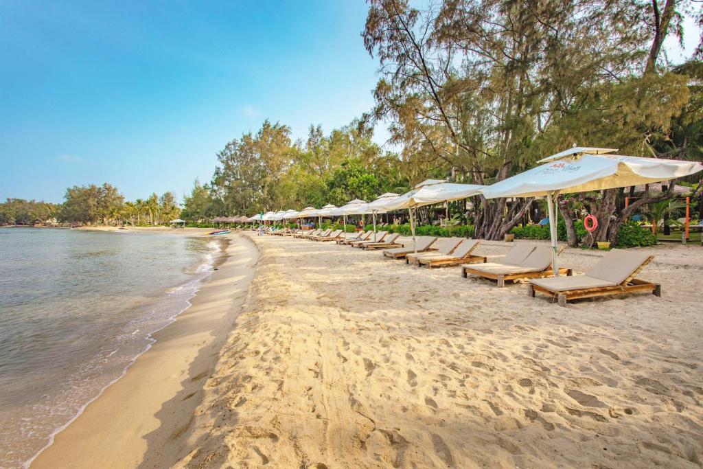 富国Ocean Bay Phu Quoc Resort and Spa的海滩上的一排椅子和遮阳伞
