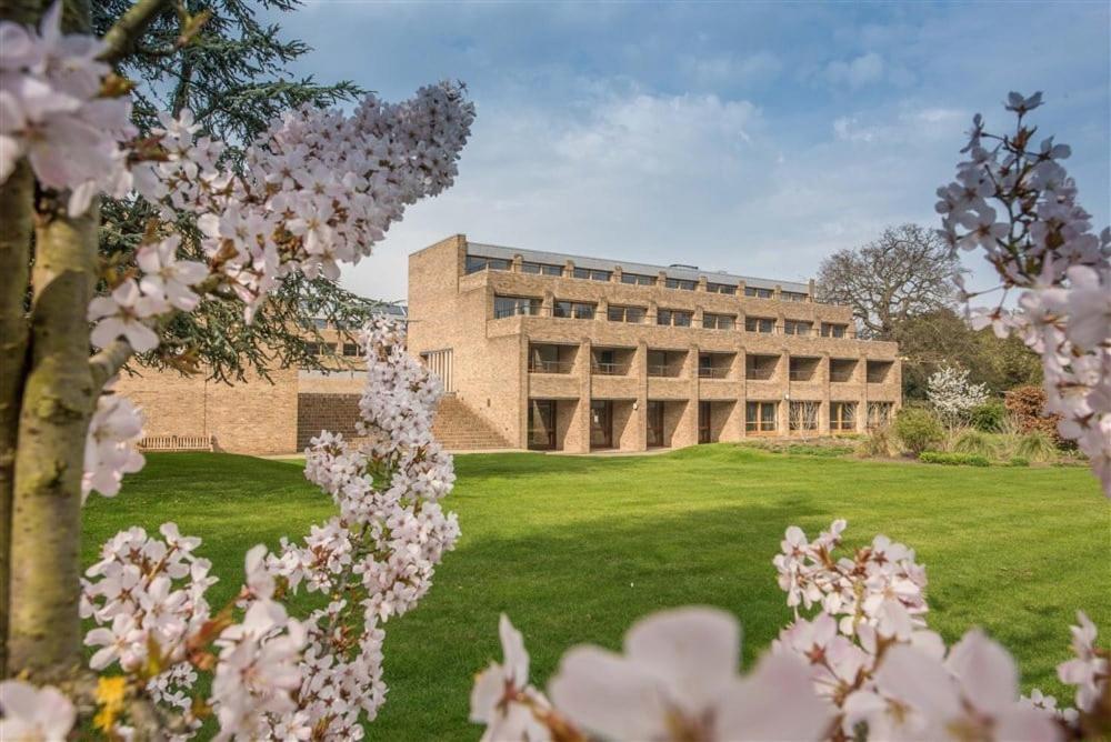 剑桥Harvey Court Gonville and Caius College的一座在田野前的粉红色花朵的建筑