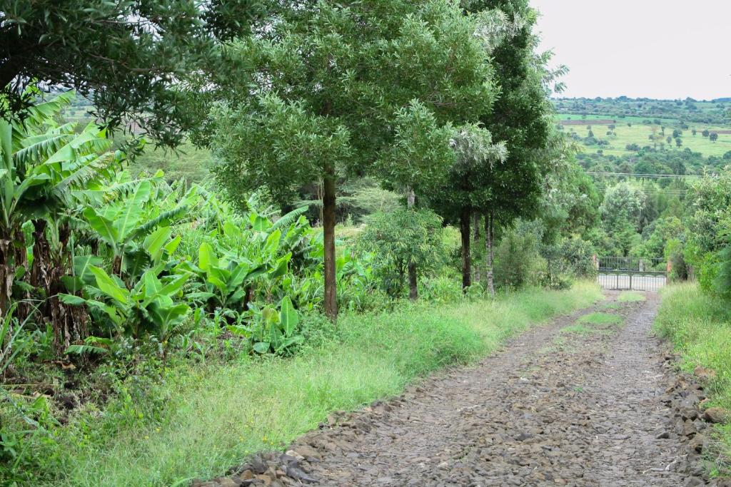 NarokBanana Hills Haven的草木林地的土路