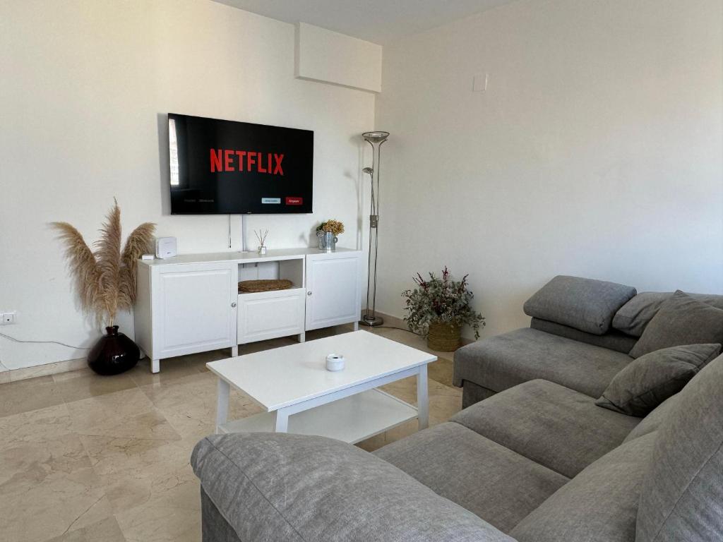科尔多瓦Apartamento céntrico con terraza的客厅配有沙发和墙上的电视