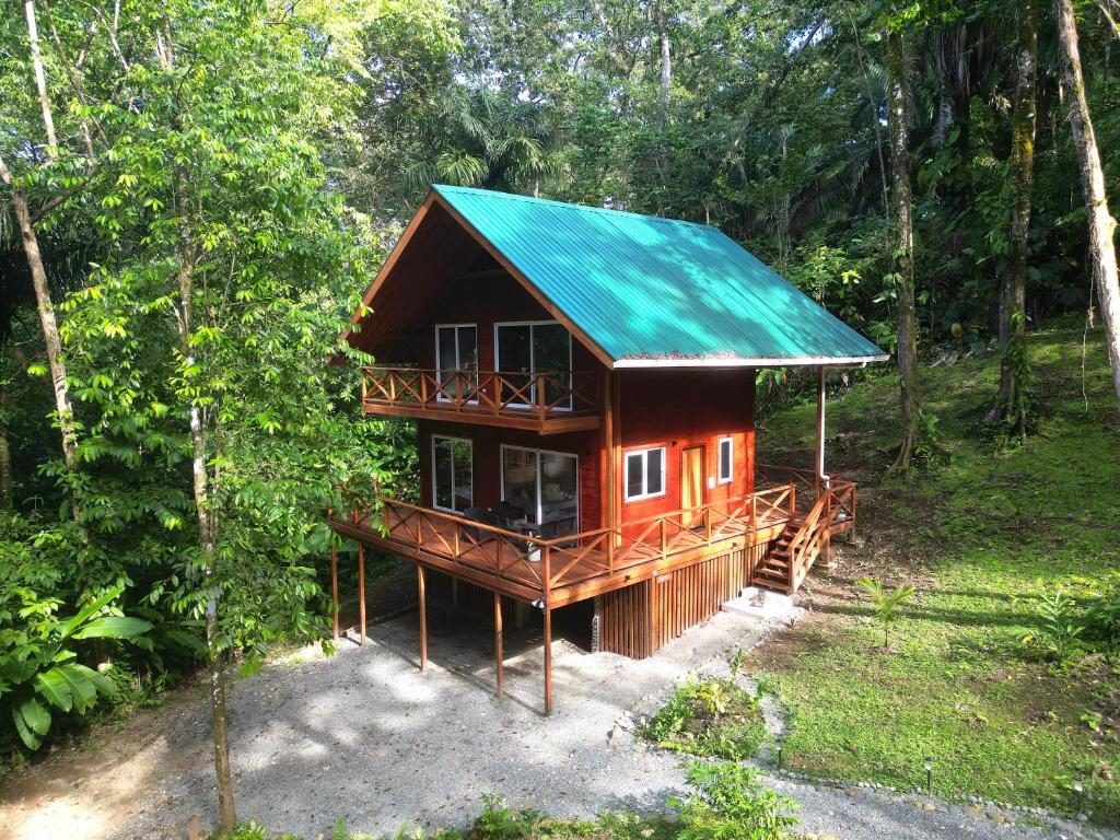 博卡斯德尔托罗Gaia Nature Lodges at Bluff Beach的绿色屋顶的树林小屋