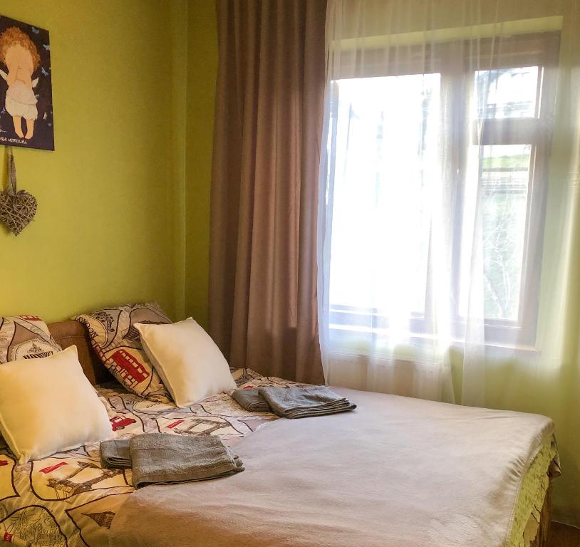 斯拉夫西克Тіна的一张带两个枕头的床和窗户