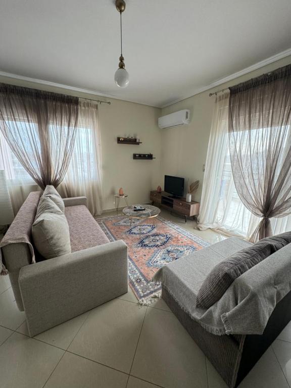 亚历山德鲁波利斯Zoe's Luxury Homes的带沙发和电视的客厅