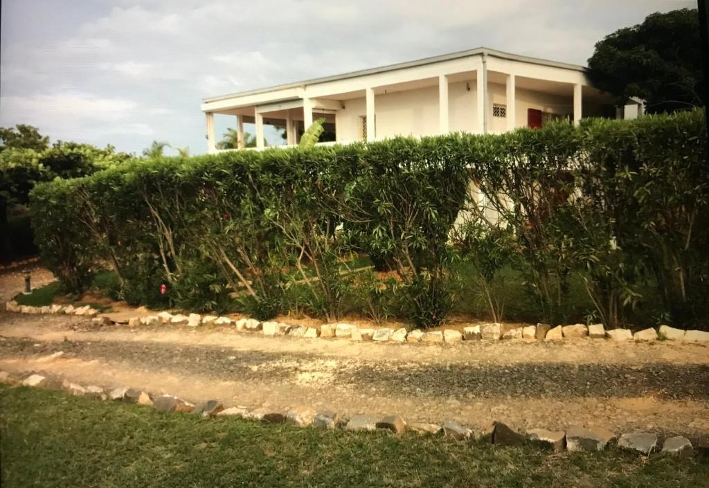 安夏卡博尼La Villa Ingrid的房屋前的树 ⁇ 后面的房子